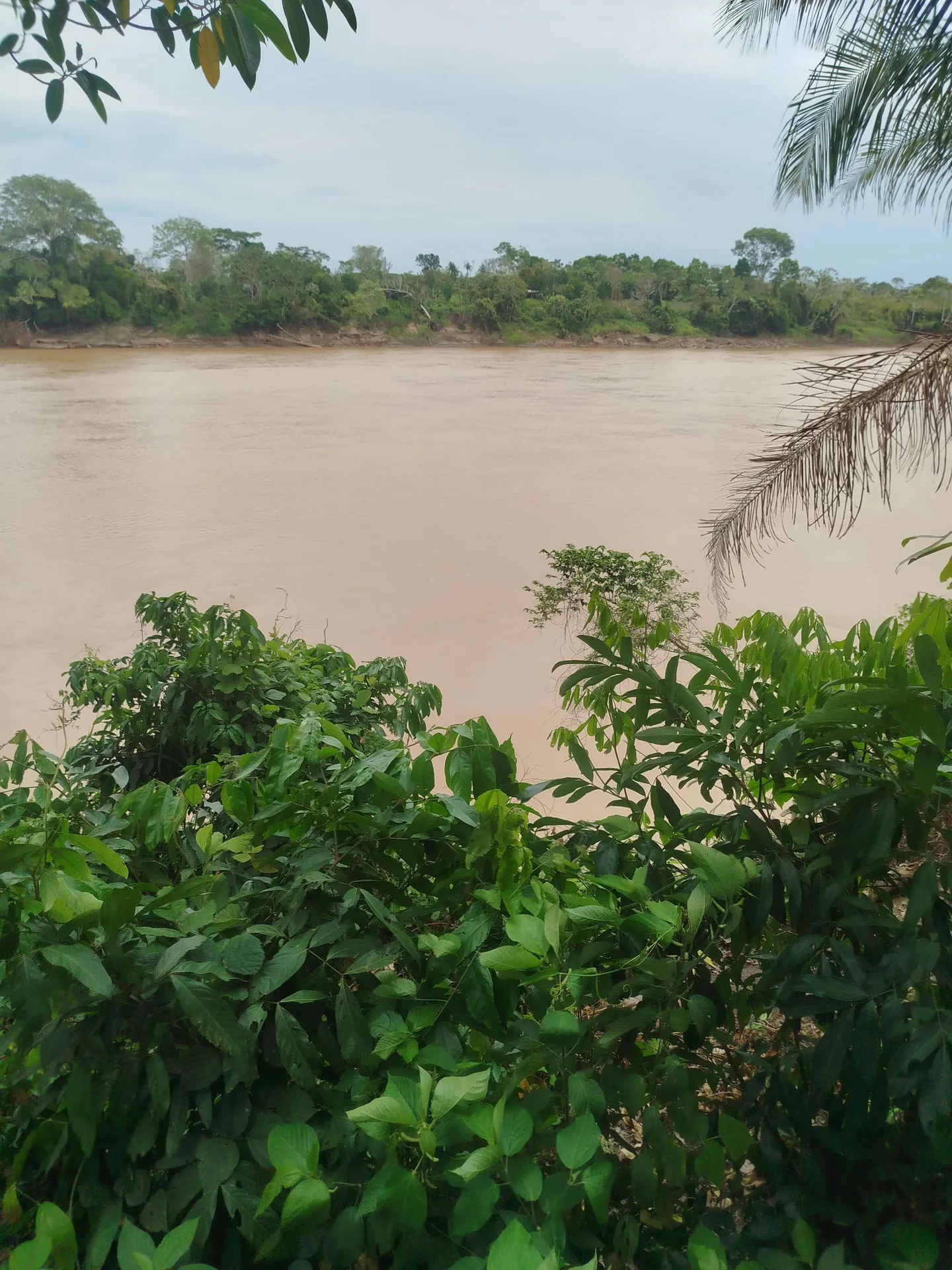 Paradise – Tambopata, a Memory That Lives On